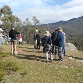 Turkey Hill in Tidbinbills Nature Reserve, 14 June 2019