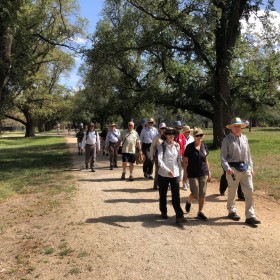 West Yarralumla Ramble, 13 January 2019