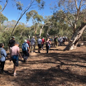 Weston Park to Stirling Ridge loop, 20 March 2019