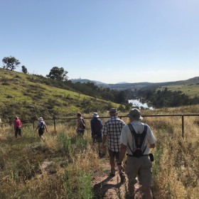 Woodland Track Molonglo, 30 January 2019