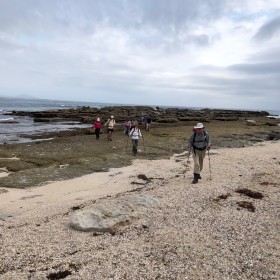 Wreck walk at Abrahams Bosom Reserve Currarong, 14 March 2019