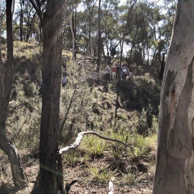 Bushland Nature Walk at the Australian National Botanic Gardens 3 March 2019 IMG 2862