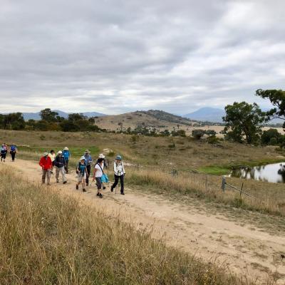 Cooleman Ridge 22 February 2019 Singleton IMG 2825