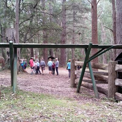Lowden Forest Park Water Wheel Tallaganda State Forest 5 March 2019