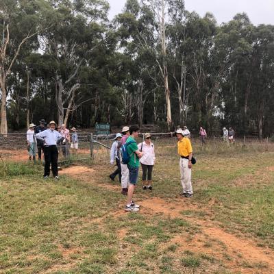 North Lyneham Ridge 20 January 2019 Singleton IMG 2241