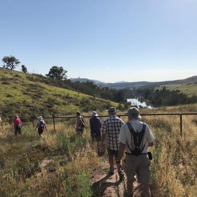 Woodland Track Molonglo 30 January 2019 Singleton IMG 2591