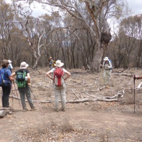 Ainslie Labyrinth, 6 February 2020