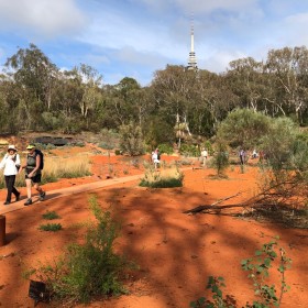 Australian National Botanic Gardens, 23 February 2020