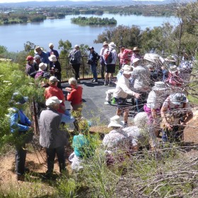 Black Mtn walk lookout, 6 November 2020