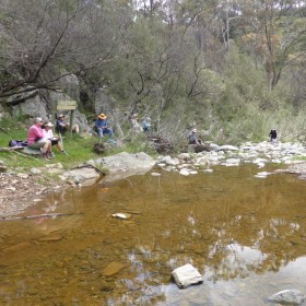 Bradleys Creek LW, 20 October 2020