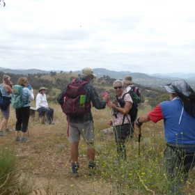 Farrer Ridge, 15 December 2020