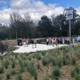 Ginninderra Creek Wetlands, 19 February 2020