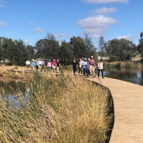 Gungaderra Wetlands at Franklin, 16 February 2020