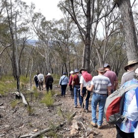 Little Black Mountain, 8 September 2020