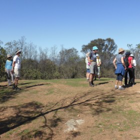 Mt Majura, 13 March 2020