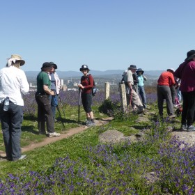 Red Hill ridge, 2 October 2020