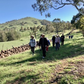 Tuggeranong Stone Wall, 15 March 2020