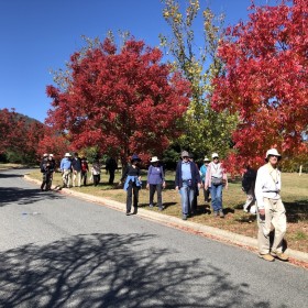 Anzac Day Ainslie Autumn Amble:, 25 April 2021