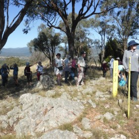 Blewitts Pines, 26 February 2021