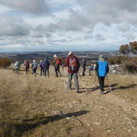 CCT Northern Border, 18 June 2021