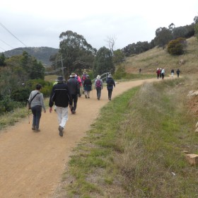 Cooleman Ridge, 17 March 2021