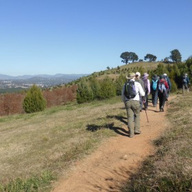 Coombs to the Arboretum LW, 18 May 2021