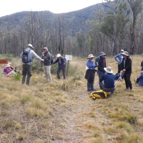 Fishing Gap LW, 15 June 2021