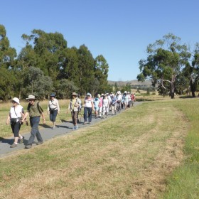 Ginninderra Creek, 13 January 2021