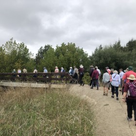 Ginninderra Creek, 17 February 2021