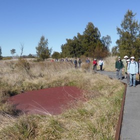 Jerrabomberra Wetlands, 6 August 2021