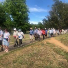 Lake Ginninderra, 12 January 2021