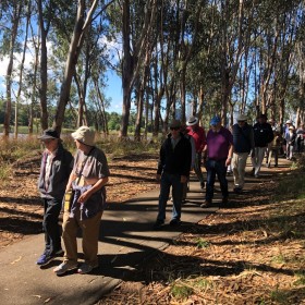 Lake Ginninderra, 7 January 2021