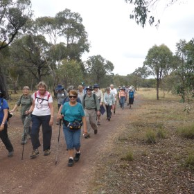 Mulligans Flat, 12 March 2021