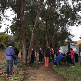 OConnor Wetlands, 3 August 2021