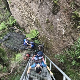 Pigeon House Mountain Didthul Walking Track, 25 March 2021