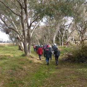 Scrubby Lane Murrumbateman, 16 June 2021