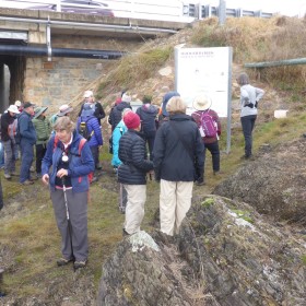 Woolshed Creek, 4 June 2021