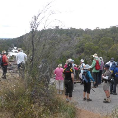 CCT Murrumbidgee Corridor 6 January 2021