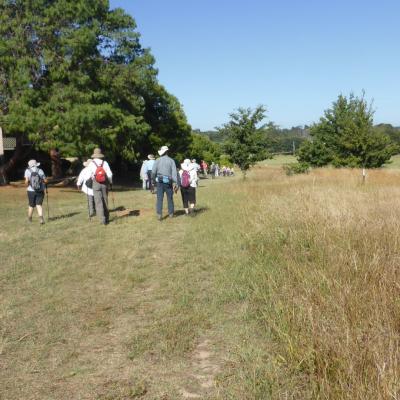 Yarralumla 15 January 2021
