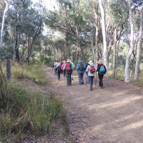 Aranda Bushland, 1 April 2022