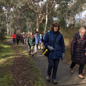 Aranda Bushland Nature Reserve, 21st June 2022