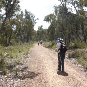 Black Mtn Reserve LW, 3 November 2022