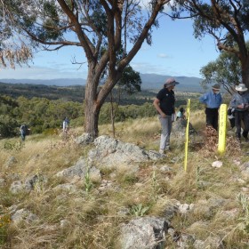 Blewitts Pines, 21 January 2022