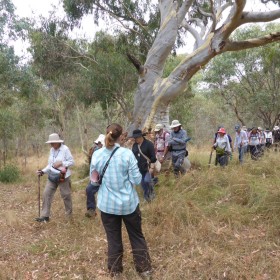 Crace, Gungaderra Grasslands and Gungahlin Hill, 23 February 2022