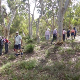 Crace and Percival Hill, 4 March 2022