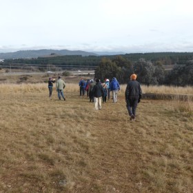 Curtin Horse Paddocks, 29 June 2022