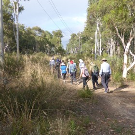 Gossan Hill Bruce, 28 January 2022