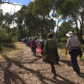 Gossan Hill Nature Reserve Bruce, 1 March 2022