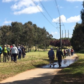 Gungahlin Lakes, 8 November 2022