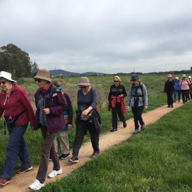 Jerrabomberra Wetlands, 4 October 2022